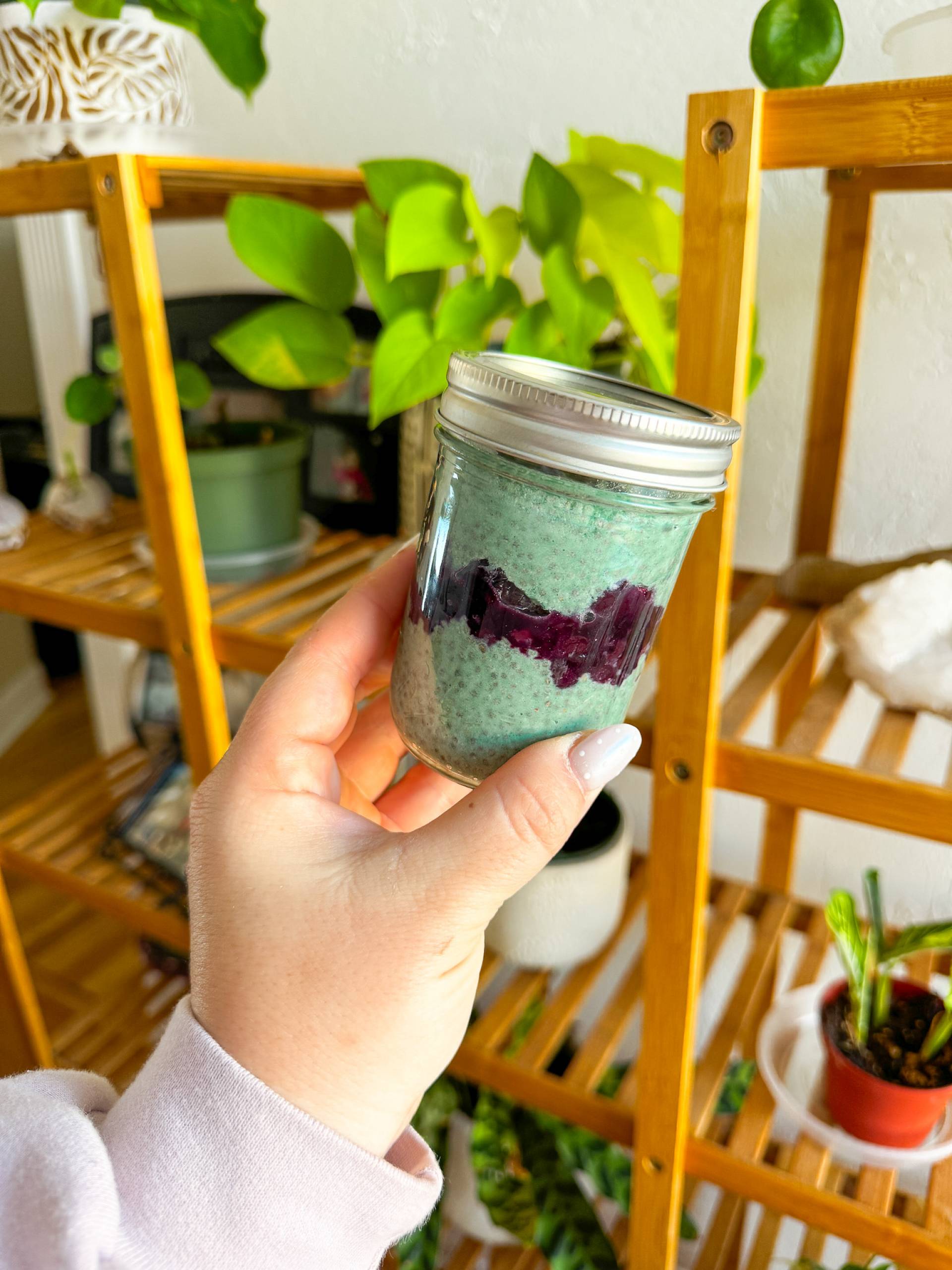 Spirulina Chia Pudding with Blueberry Compote