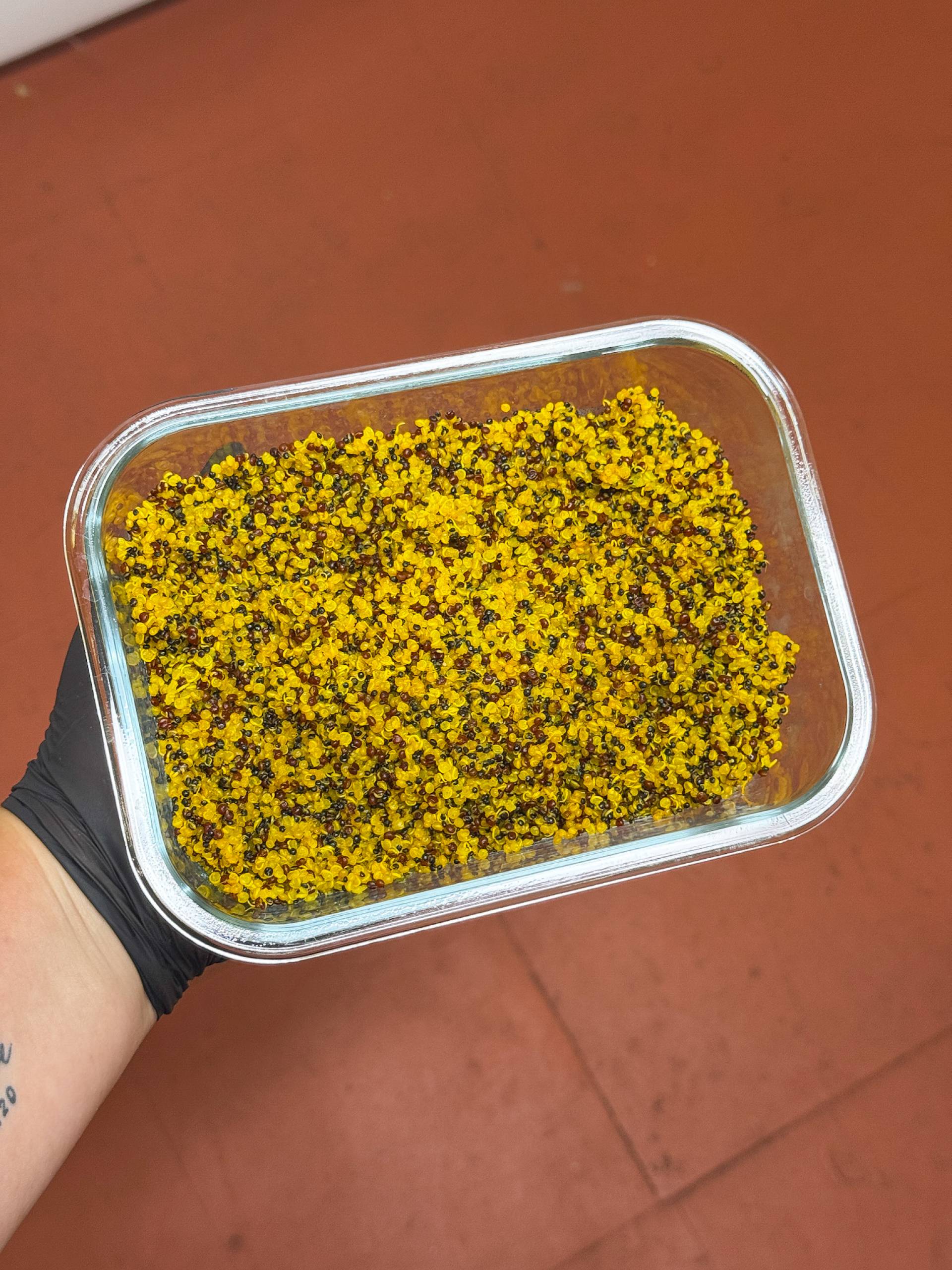 Ginger Turmeric Quinoa